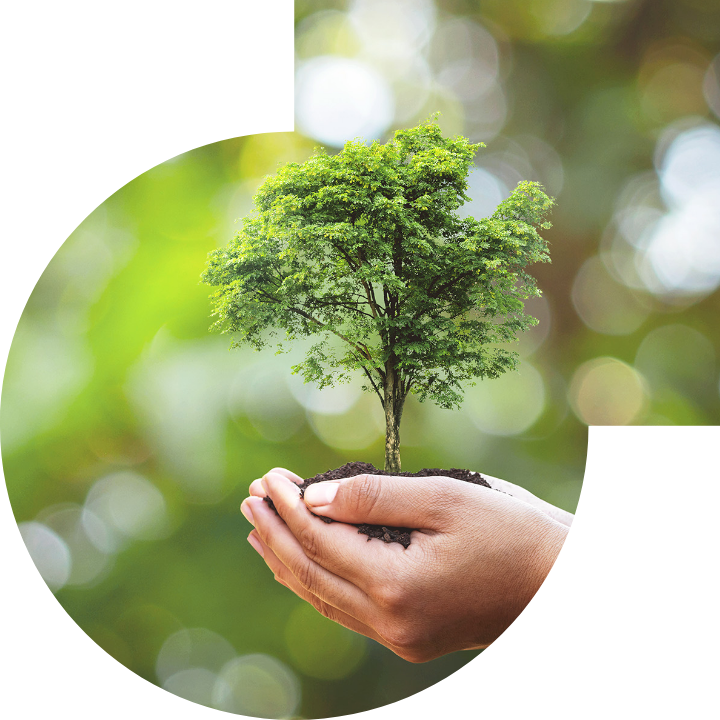 关怀人类、文化、环境与社会